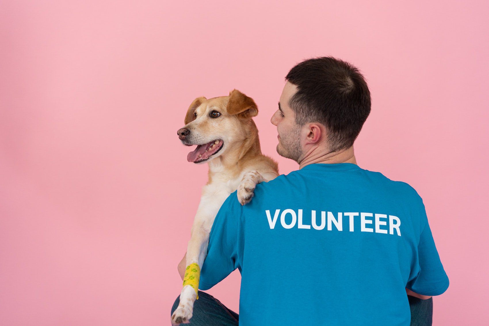pet-volunteer-stock