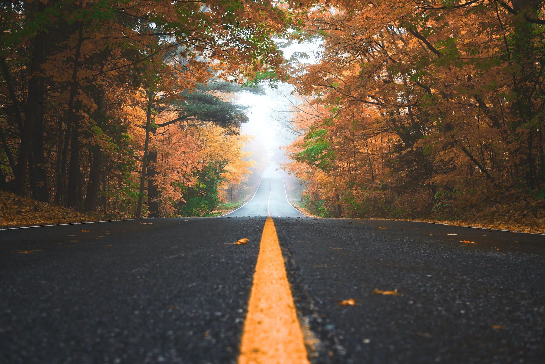 road-stock